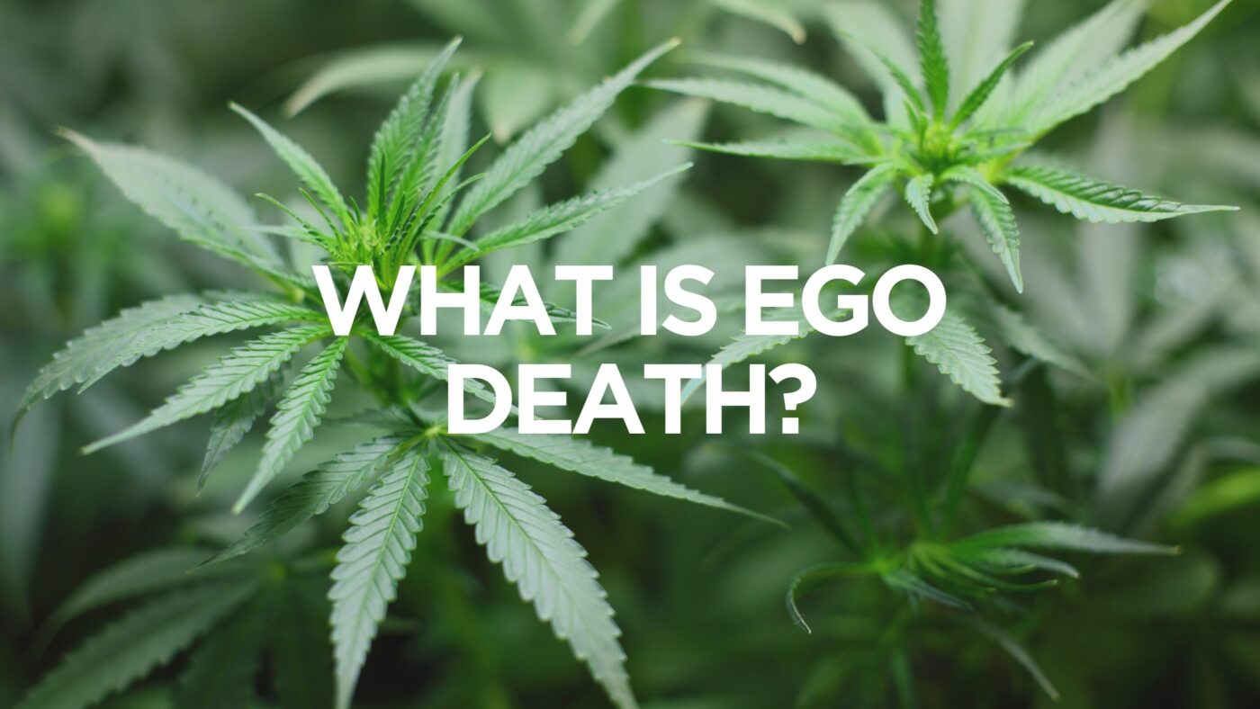 What Is Ego Death