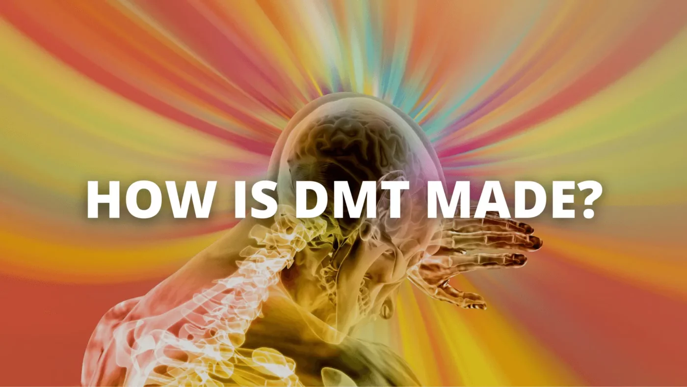 How Is Dmt Made