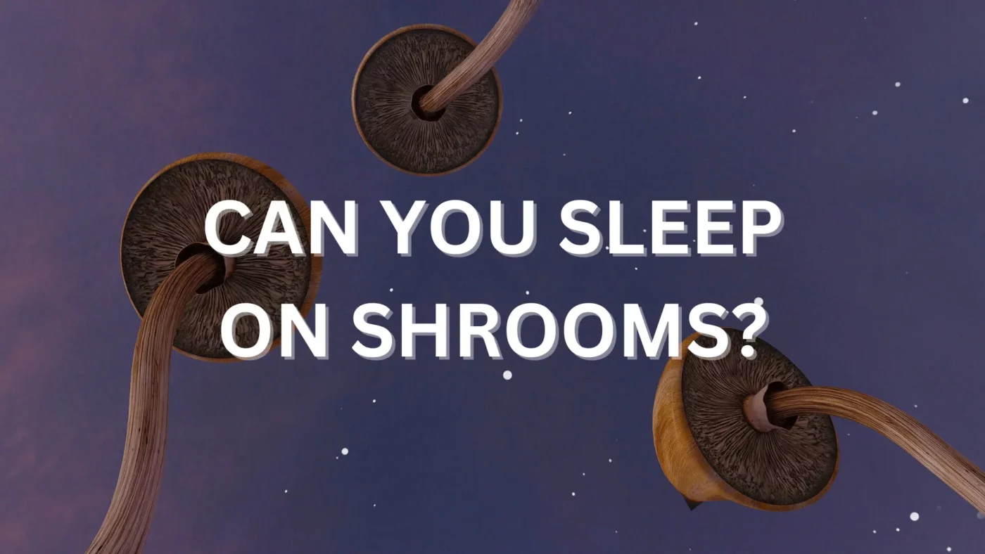 Can You Sleep On Shrooms