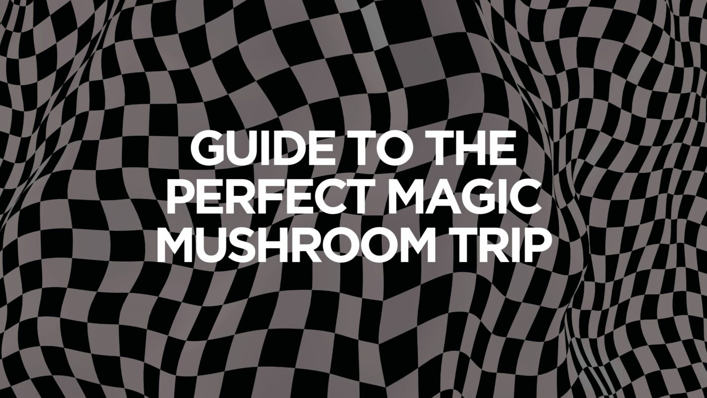 Guide To The Perfect Magic Mushroom Trip