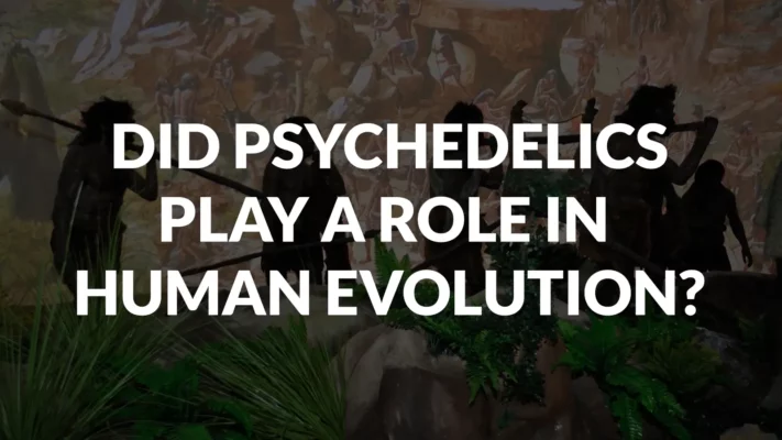 Did Psychedelics Play A Role In Human Evolution