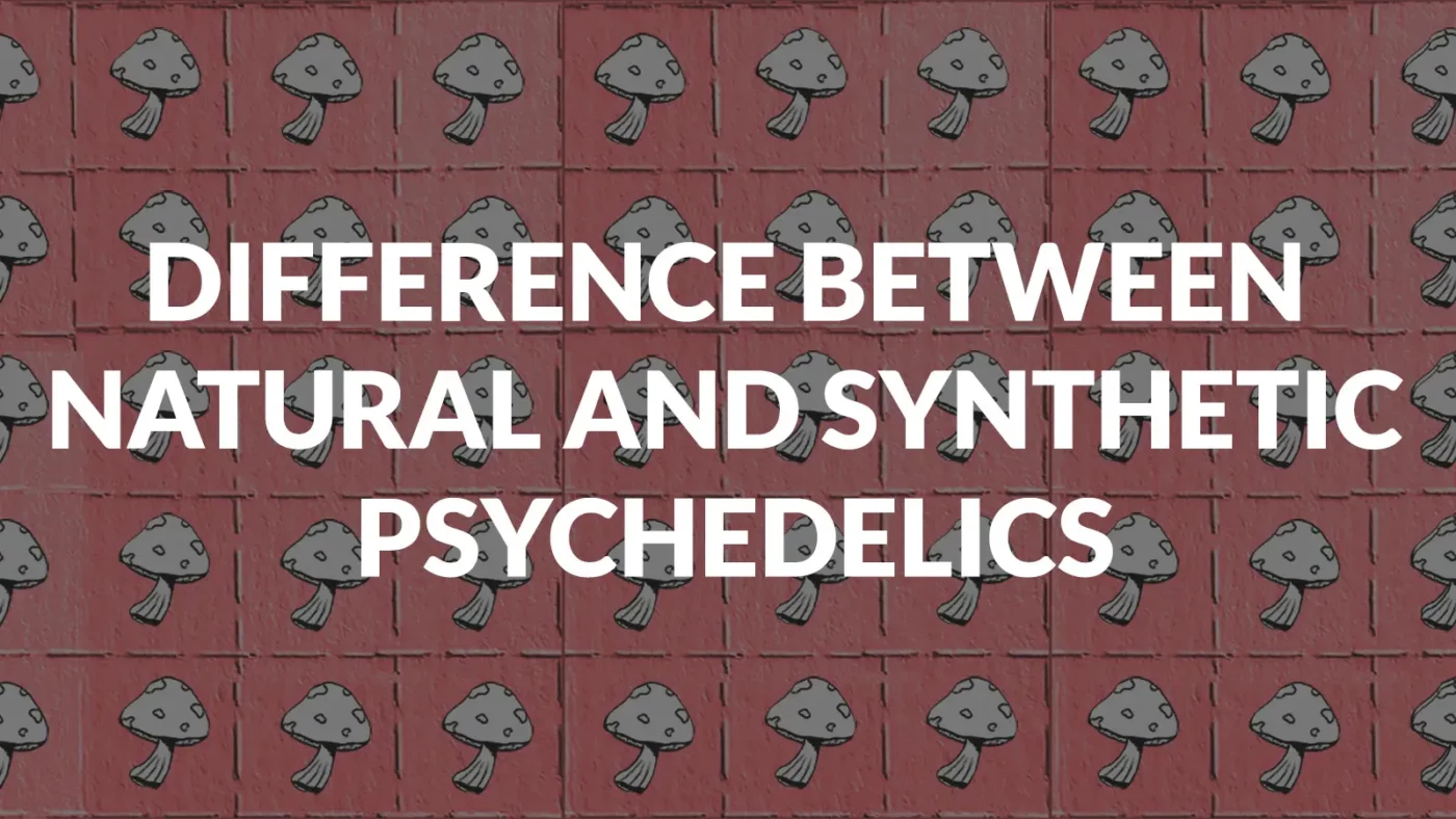 Difference Between Natural And Synthetic Psychedelics