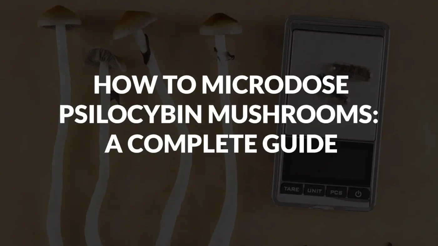 How To Microdose Psilocybin Mushrooms: A Complete Guide