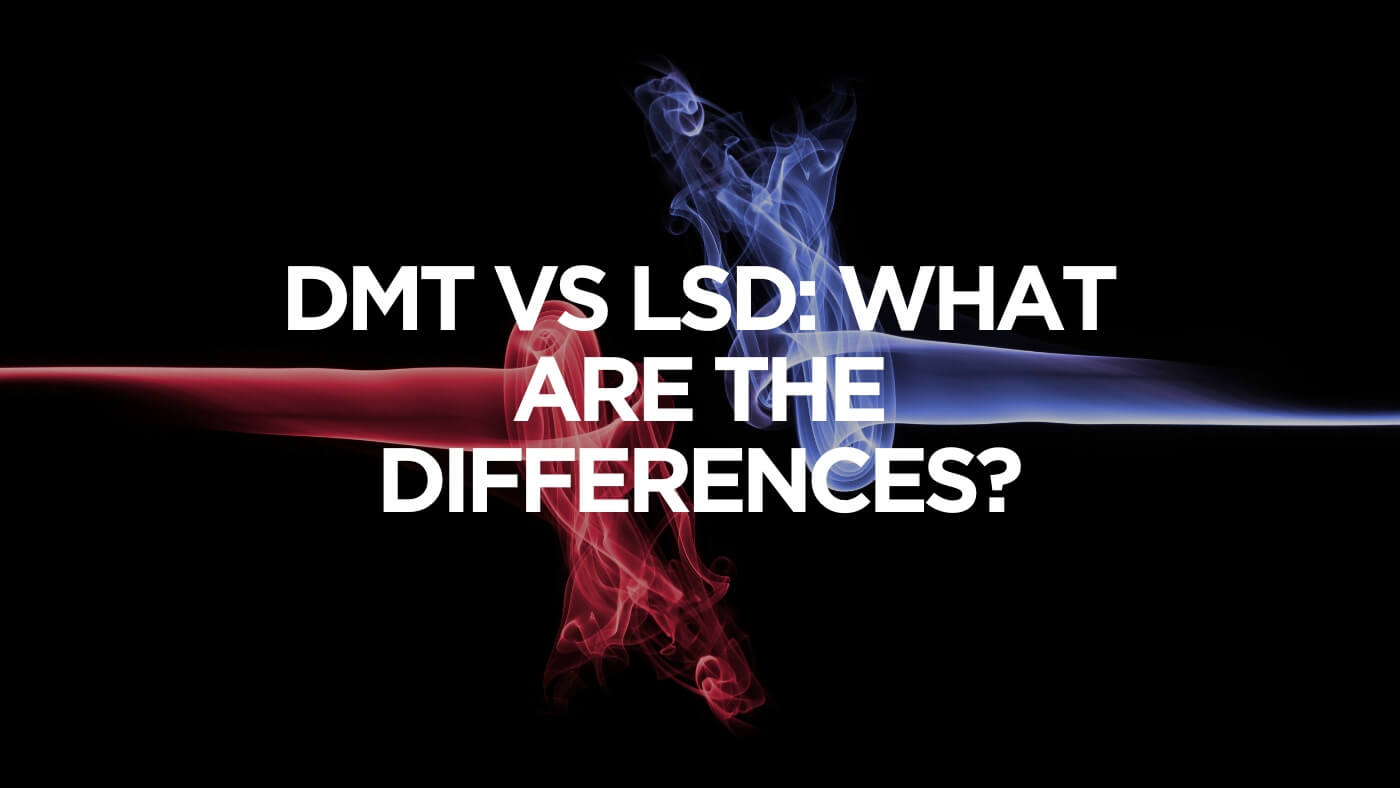 Dmt-Vs-Lsd-What-Are-The-Differences