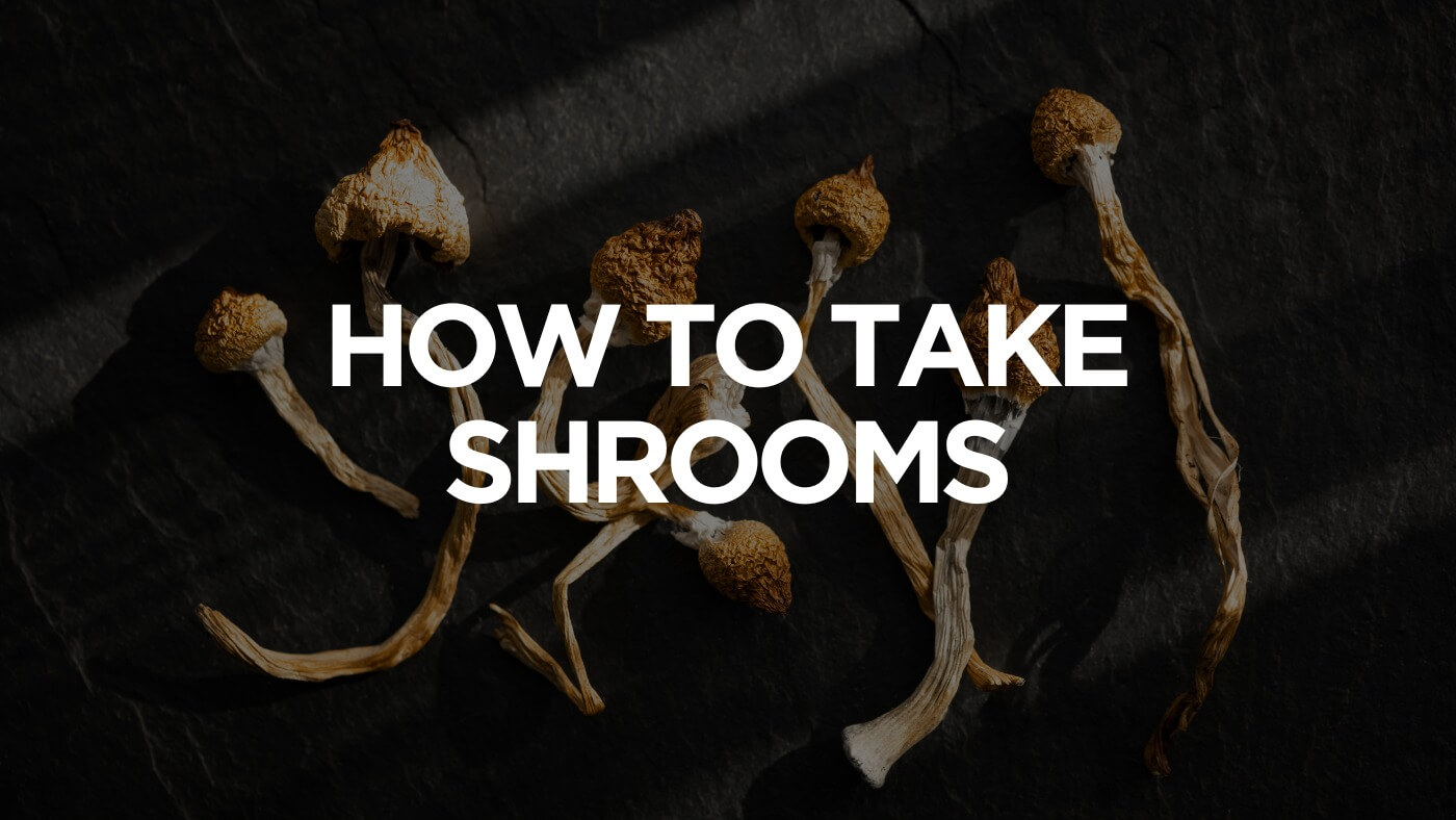 How-To-Take-Shrooms