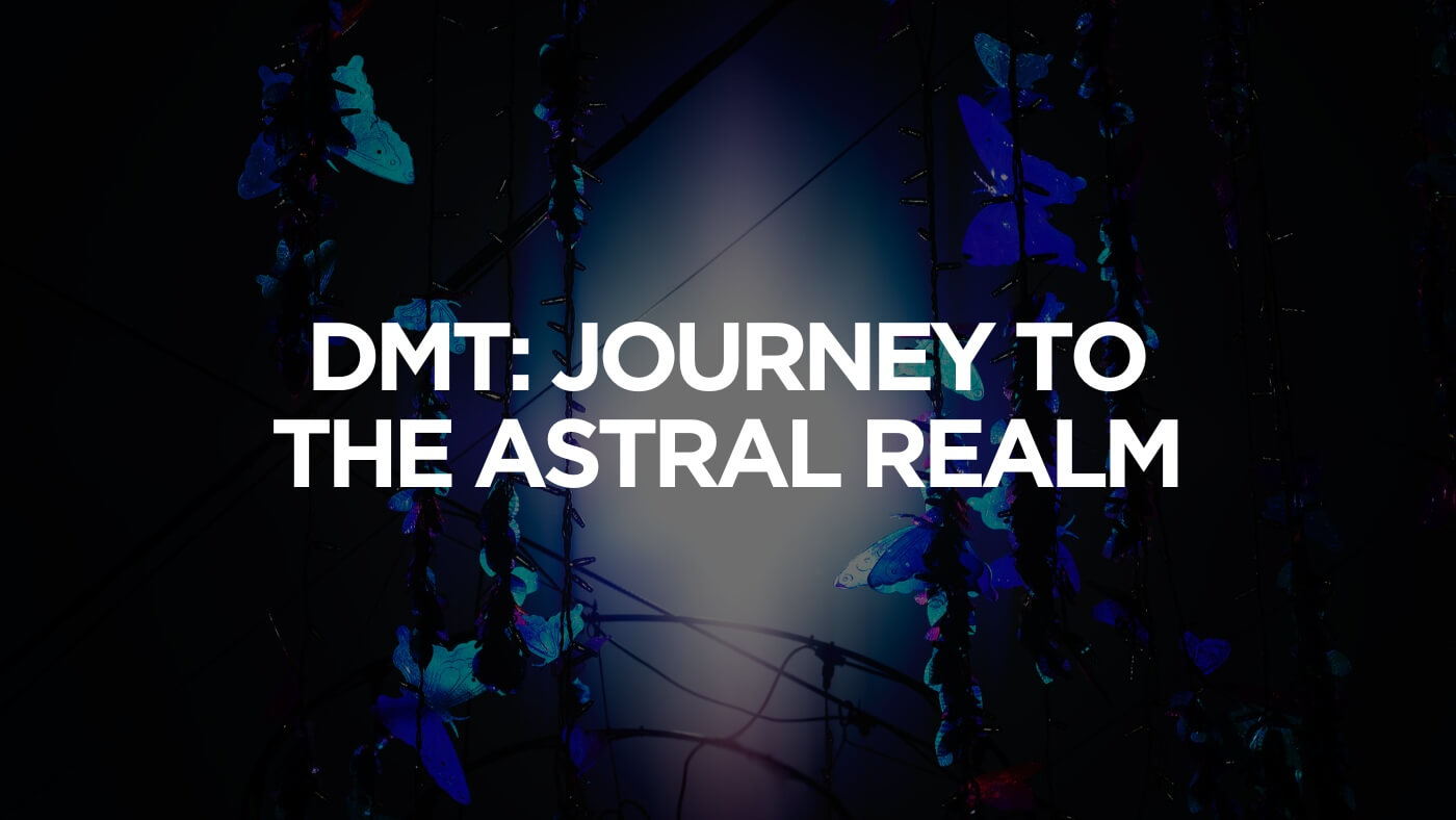 Dmt: Journey To The Astral Realm