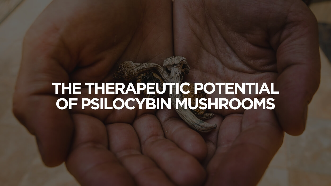 The Therapeutic Potential Of Psilocybin Mushrooms