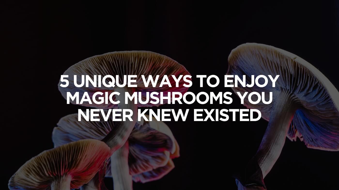 The Mexican Magic Mushroom Is A Psilocybe Cubensis, Whose Main Active Elements Are Psilocybin And Psilocin - Mexican Psilocybe Cubensis. An Adult Mushroom Raining Spores