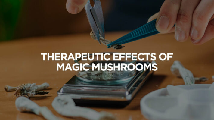 Magic Mushroom Turned Into Medicine