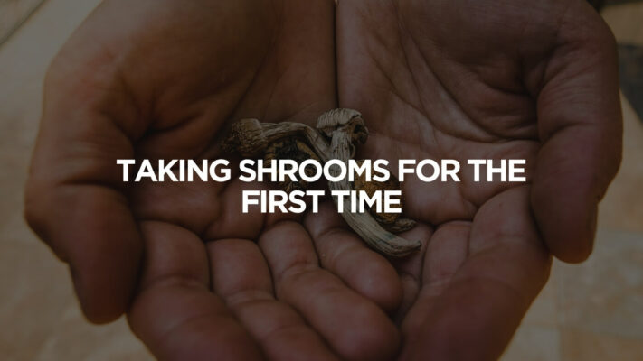 Taking Shrooms For The First Time