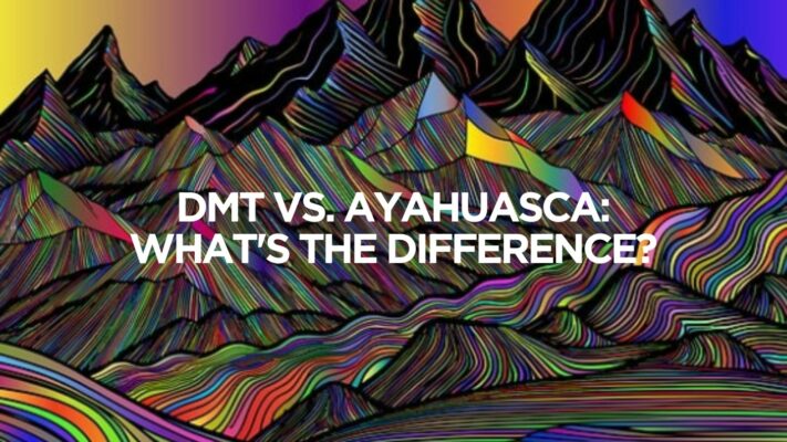 Dmt Vs. Ayahuasca Whats The Difference