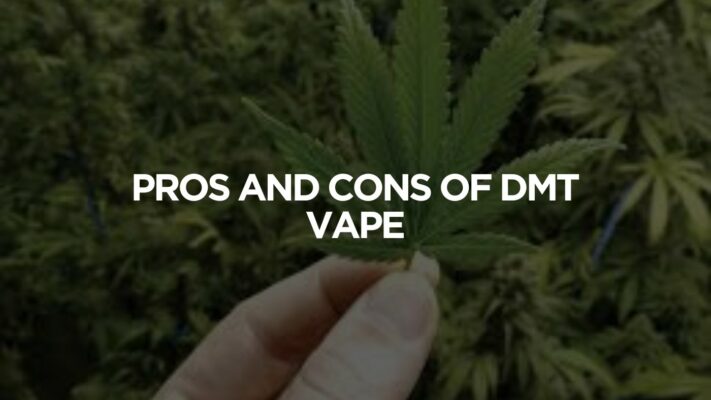 Pros And Cons Of Dmt Vapes I Astral Agency