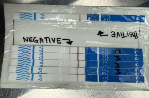 Tkp Fentanyl Test Strips - Image 3